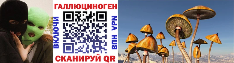 Галлюциногенные грибы Psilocybe MEGA маркетплейс Владикавказ